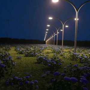 哈尔滨虹姐再回到从前
