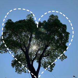 哈尔滨虹姐再回到从前
